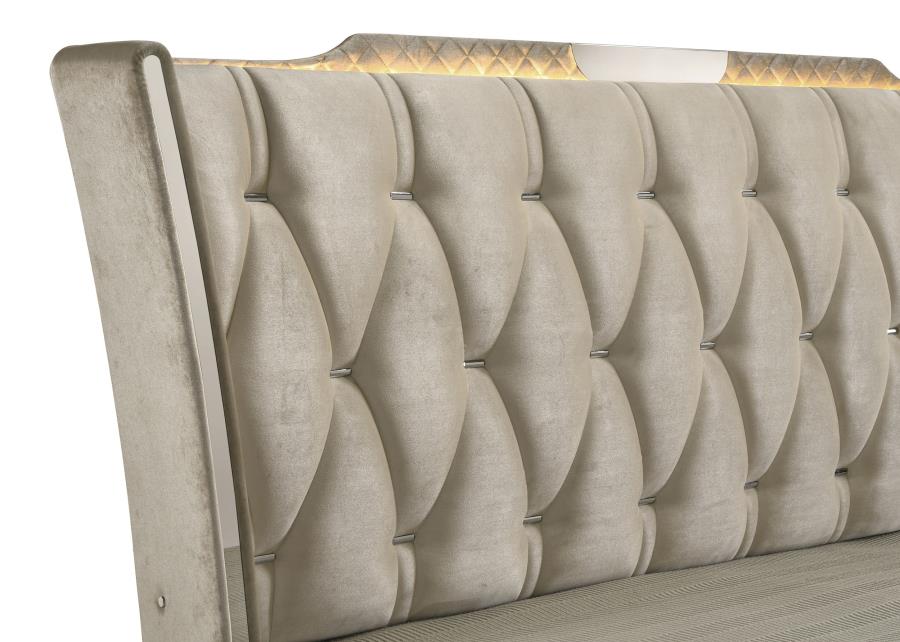 Coaster Lorient Ivory and Camel Upholstered Bed