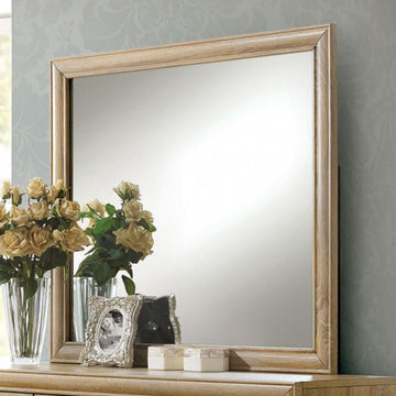  Furniture of America Renee Dresser Mirror CM7660M IMAGE 1