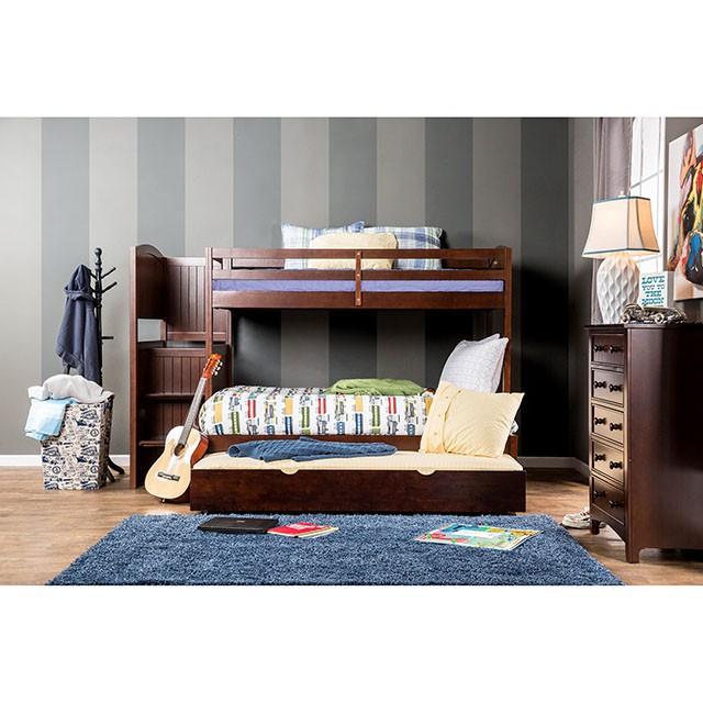  Furniture of America Kids Beds Bunk Bed CM-BK966F-BED IMAGE 5