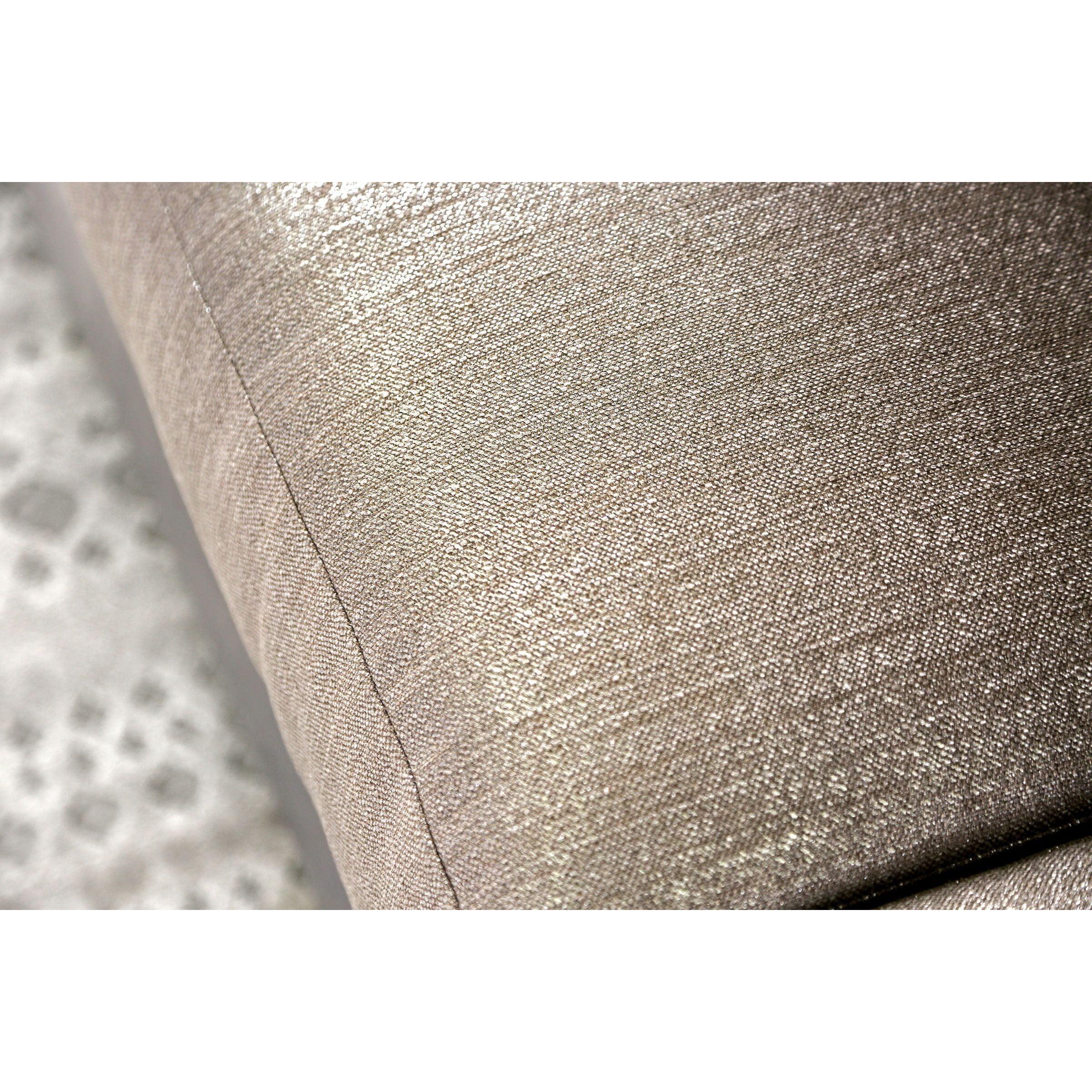  Furniture of America Benigno Stationary Fabric Loveseat SM6412-LV IMAGE 3