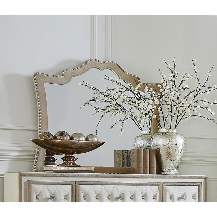  Coaster Furniture Antonella 223524 Upholstered Dresser Mirror - Camel IMAGE 1