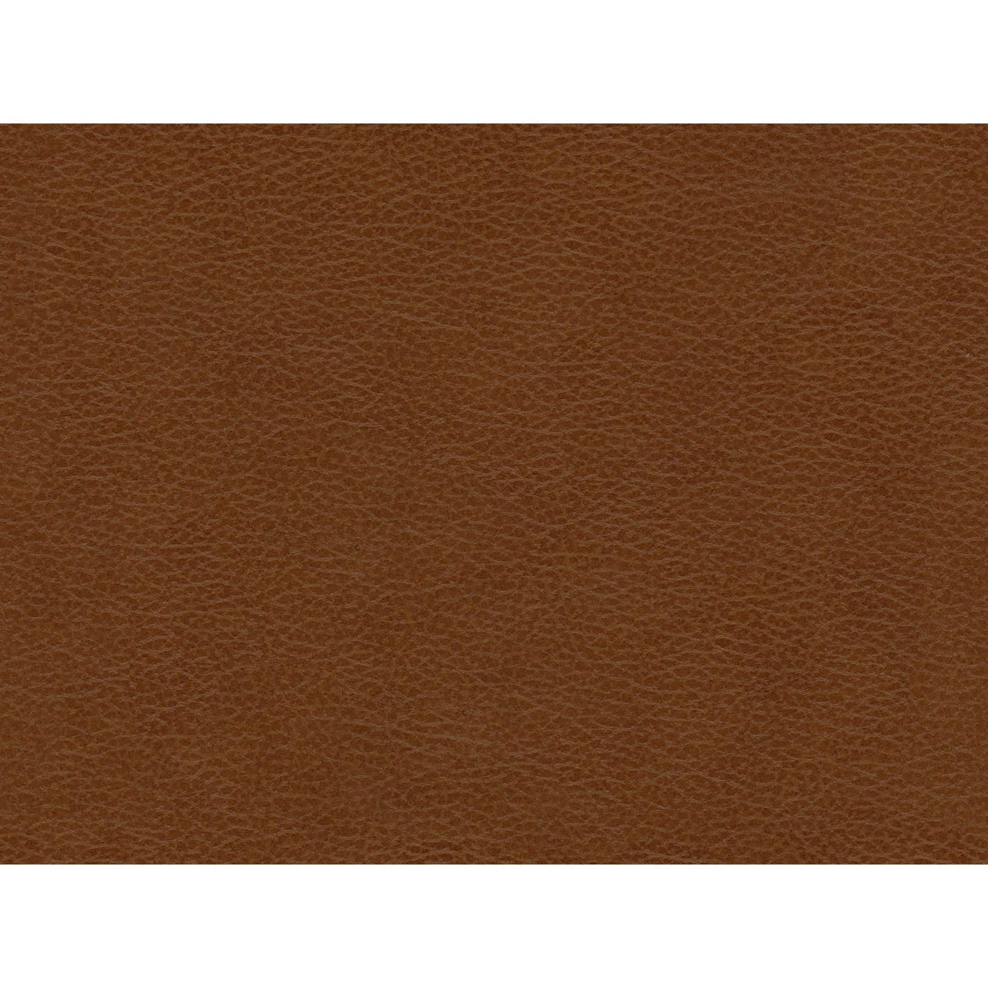  Elements International Hampton Loveseat in Fiero Fiero Tan IMAGE 6