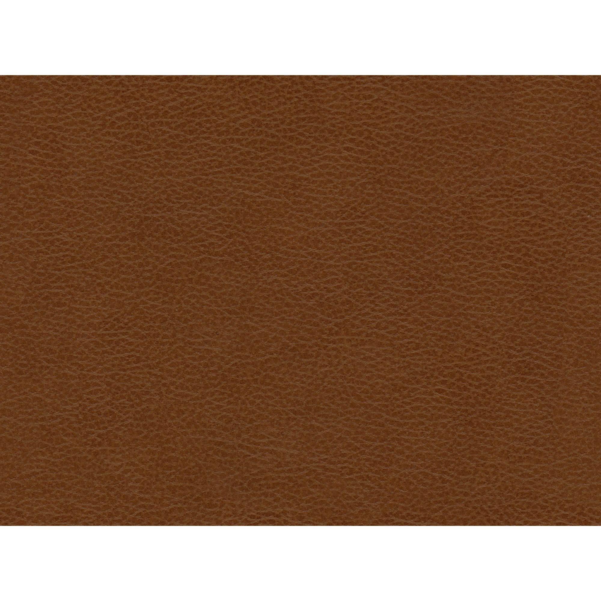  Elements International Hampton Loveseat in Fiero Fiero Tan IMAGE 6