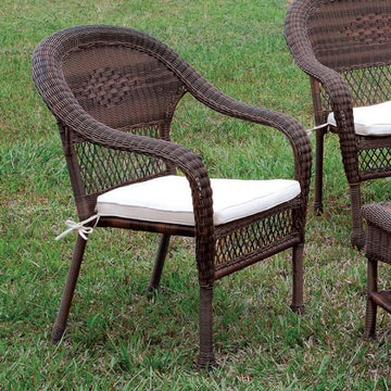  Furniture of America Barua CM-OT1811-CH Patio Chair IMAGE 1