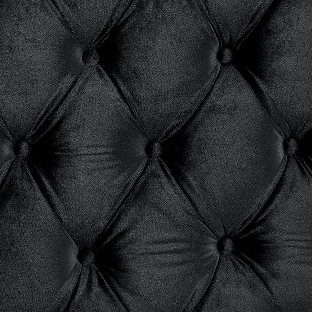  Color_Black  Size_Queen  -- Furniture of America Stefania Upholstered Platform Bed IMAGE 4