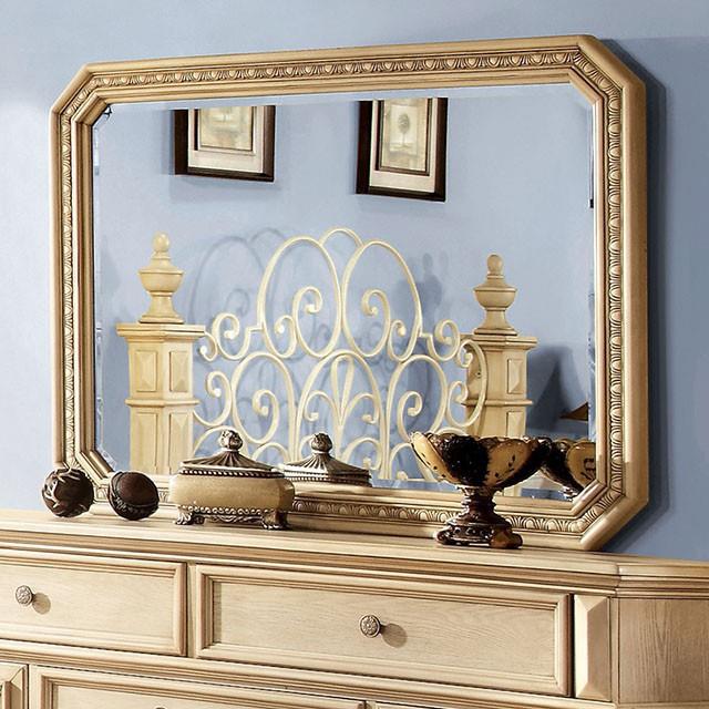  Furniture of America Waldenburg CM7810M Mirror IMAGE 1
