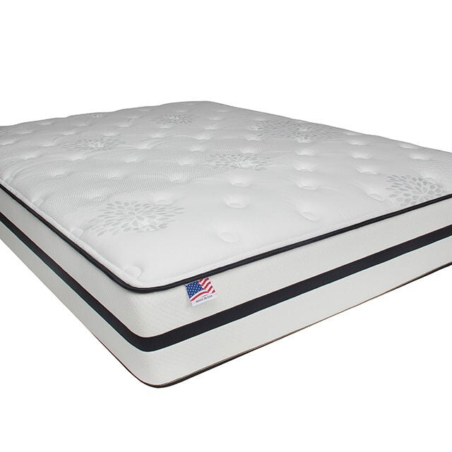  Furniture of America Kastel DM1430Q-M Queen Mattress IMAGE 1