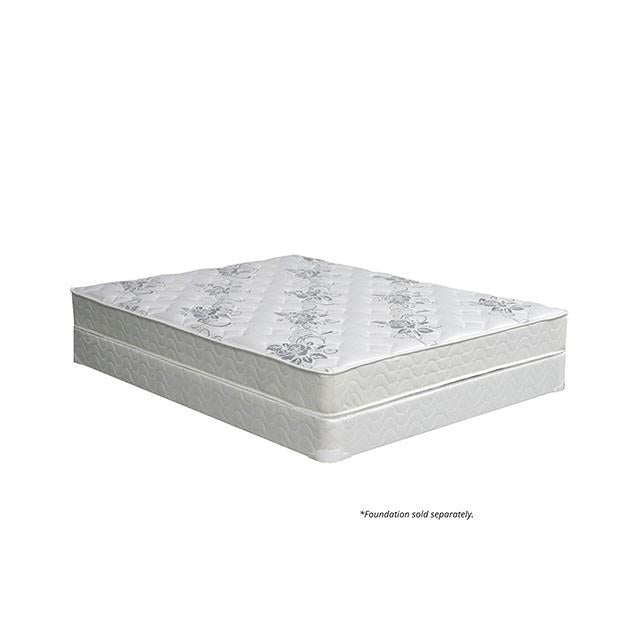  Size_Full  -- Elbertyna DM331F-M Full IMAGE 3