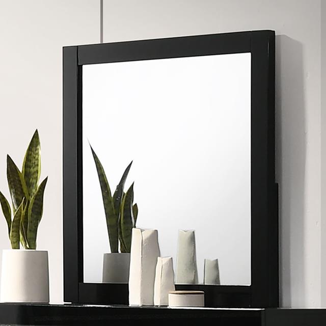  Furniture of America Magdeburg FOA7038BK-M Mirror IMAGE 1