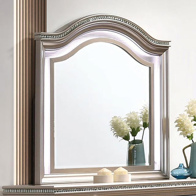 Furniture of America Allie CM7901RG-M Mirror IMAGE 1