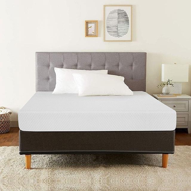  Size_Queen  -- Coreopsis DM520-Q 8" Queen Memory Foam Mattress IMAGE 9