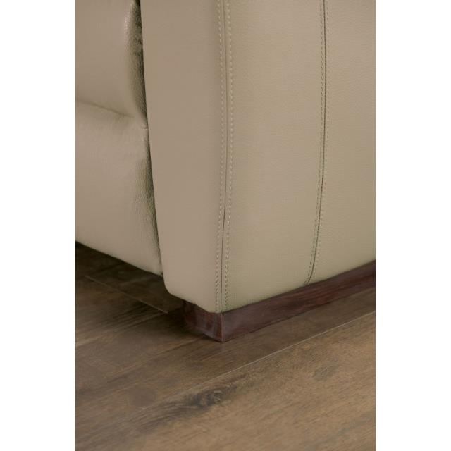  Furniture of America Altamura FM90002TP-SF-PM-PK Power Sofa IMAGE 5