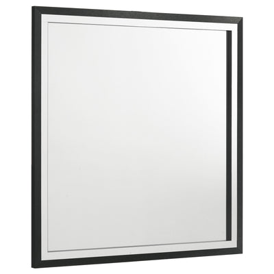  Coaster Furniture Lucia 224994 Dresser Mirror - Black IMAGE 1