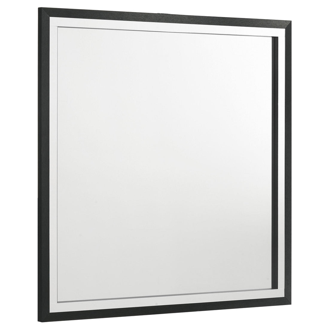  Coaster Furniture Lucia 224994 Dresser Mirror - Black IMAGE 1