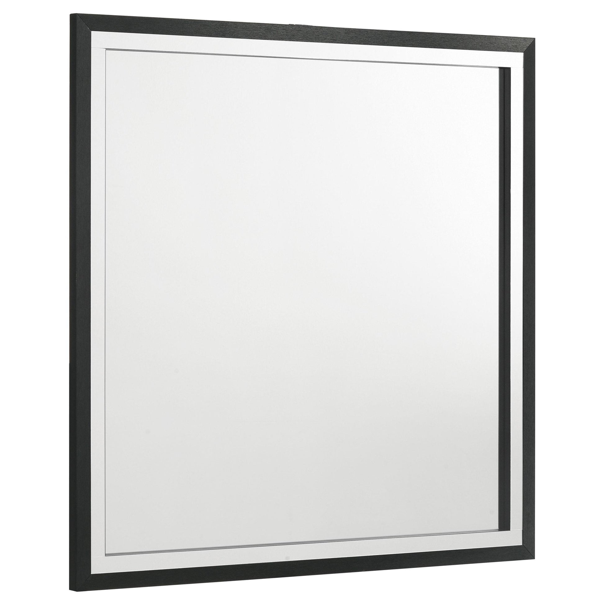  Coaster Furniture Lucia 224994 Dresser Mirror - Black IMAGE 1