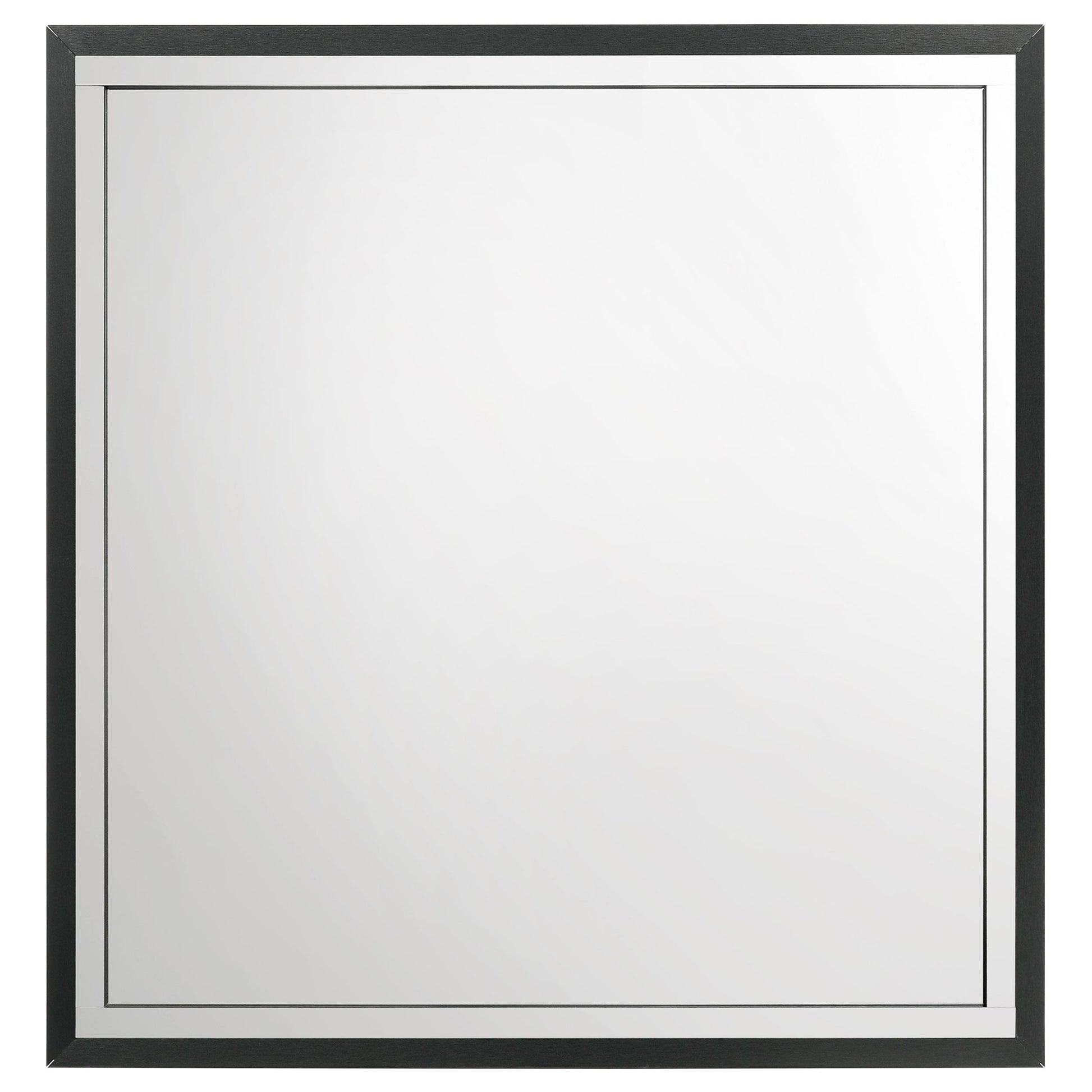  Coaster Furniture Lucia 224994 Dresser Mirror - Black IMAGE 3