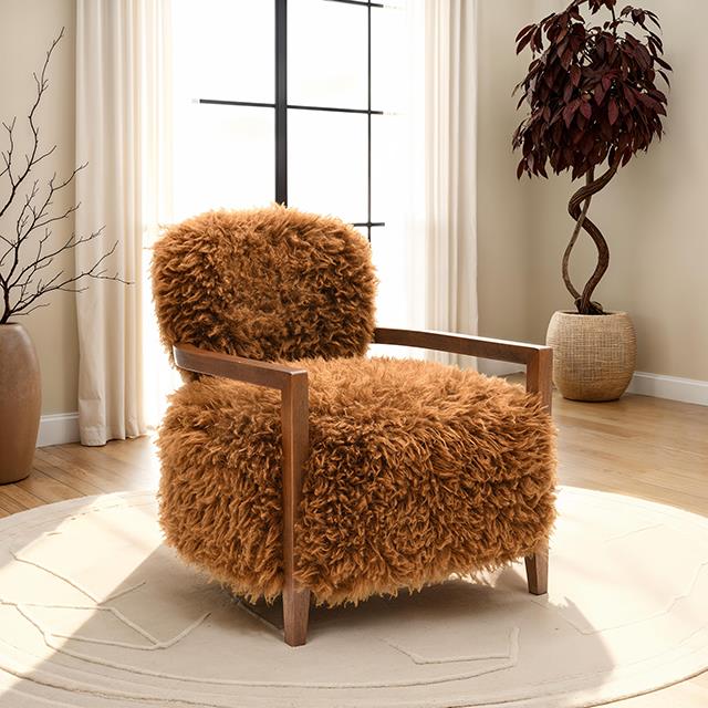  Furniture of America Eramo FM-AC6005BR Accent Chair IMAGE 1