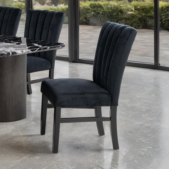  Furniture of America Selsey FM34005BK-SC-2PK Set Of 2 Side Chair IMAGE 1