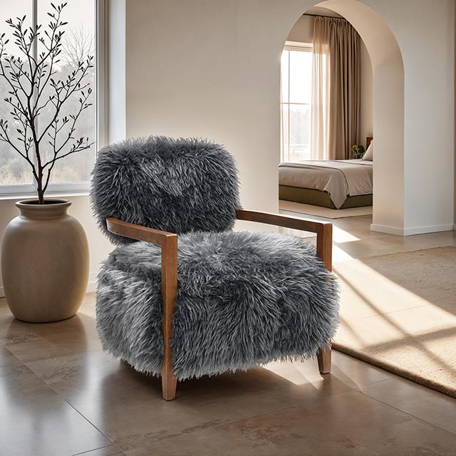  Furniture of America Eramo FM-AC6005DG Accent Chair IMAGE 1