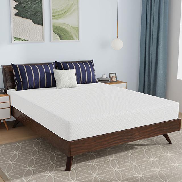  Furniture of America Nasturtium DM808-Q 8" Queen Bamboo Charcoal Infused Memory Foam IMAGE 1