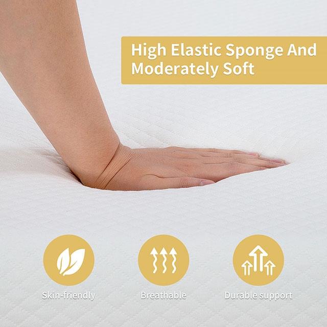  Furniture of America Artemisia DM520-T-EU 8" Twin Memory Foam Mattress IMAGE 6