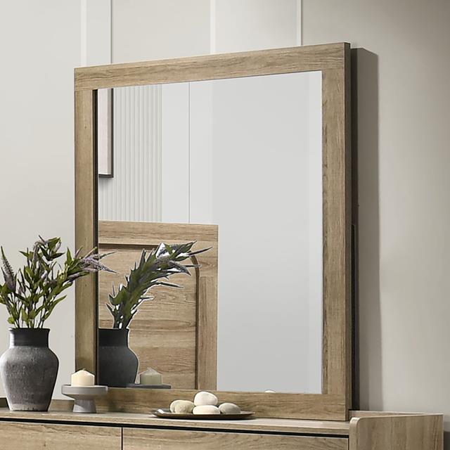  Furniture of America Cadden FM72030AK-M Mirror IMAGE 1