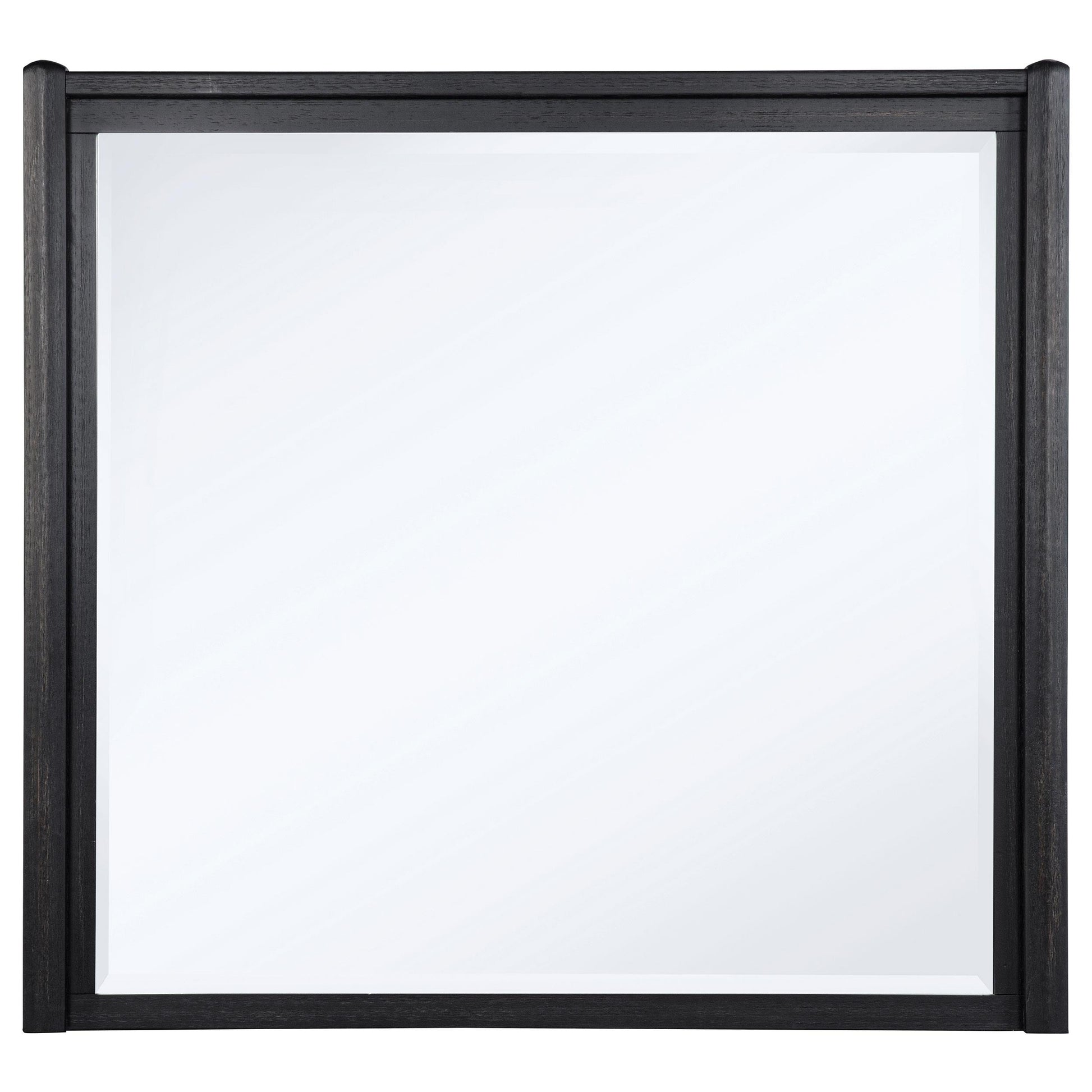  Coaster Furniture Leandro 222494 Dresser Mirror - Burnished Black IMAGE 1