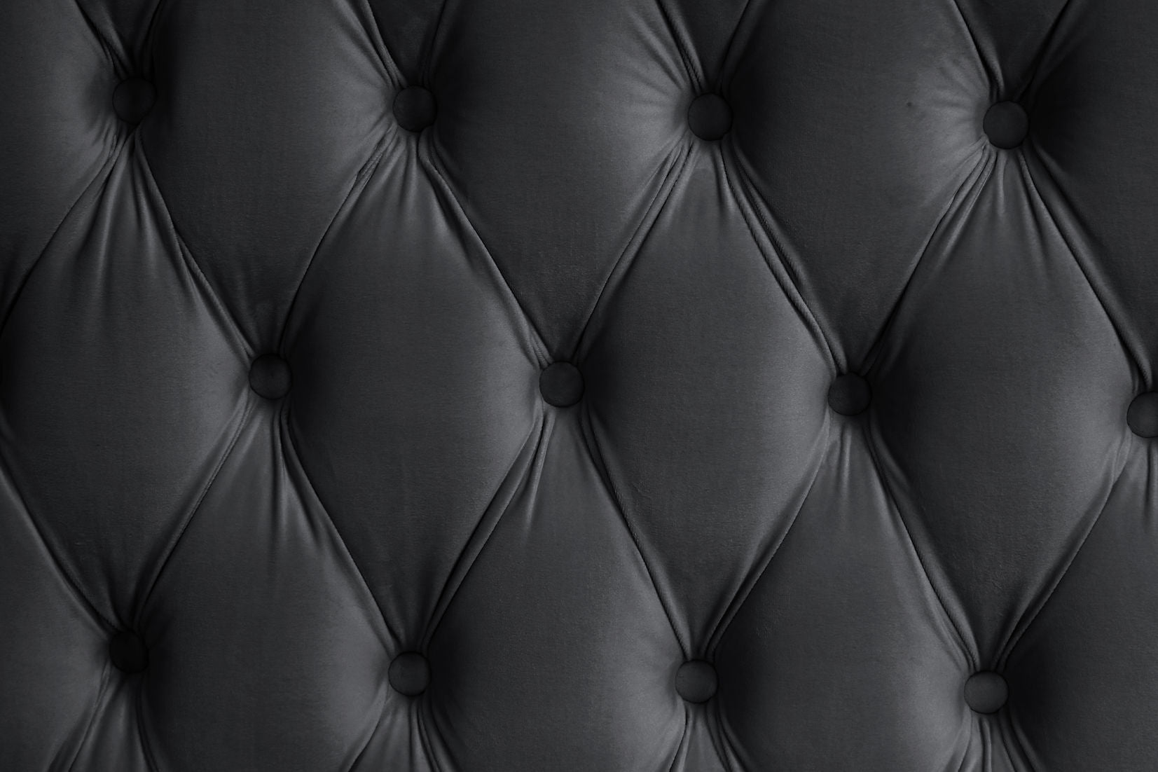 Royal (Black)