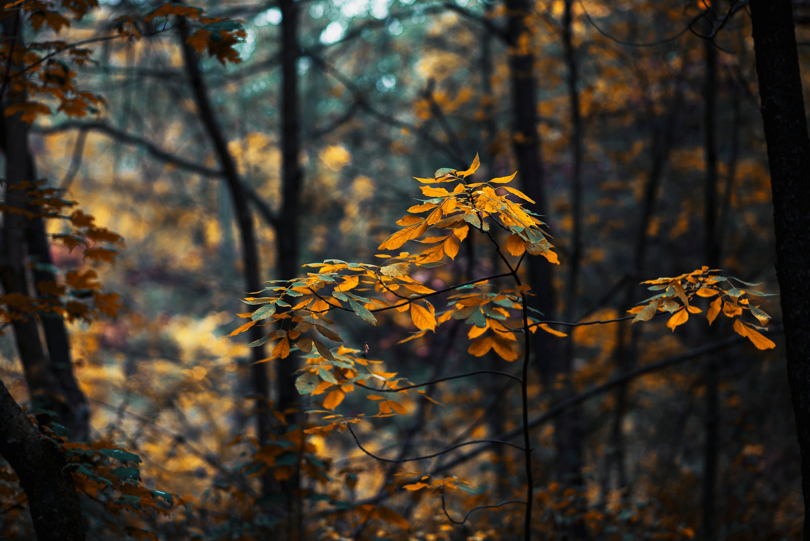 slider image slider_item_FYgVXQ